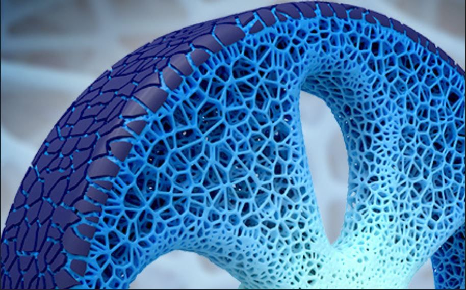 Représentation du concept Vision illustrant une structure alvéolaire semblable à celle d'un corail