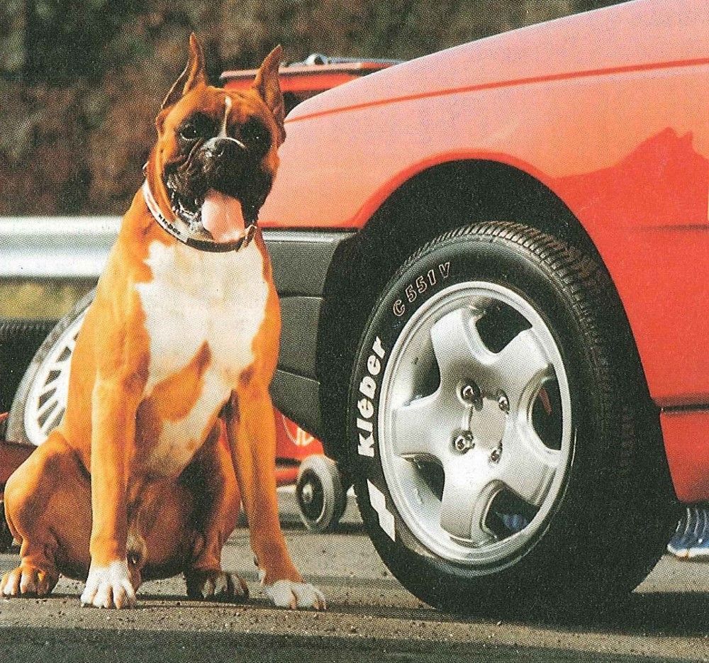 En 1981, la société des pneumatiques Kléber intègre le groupe Michelin.